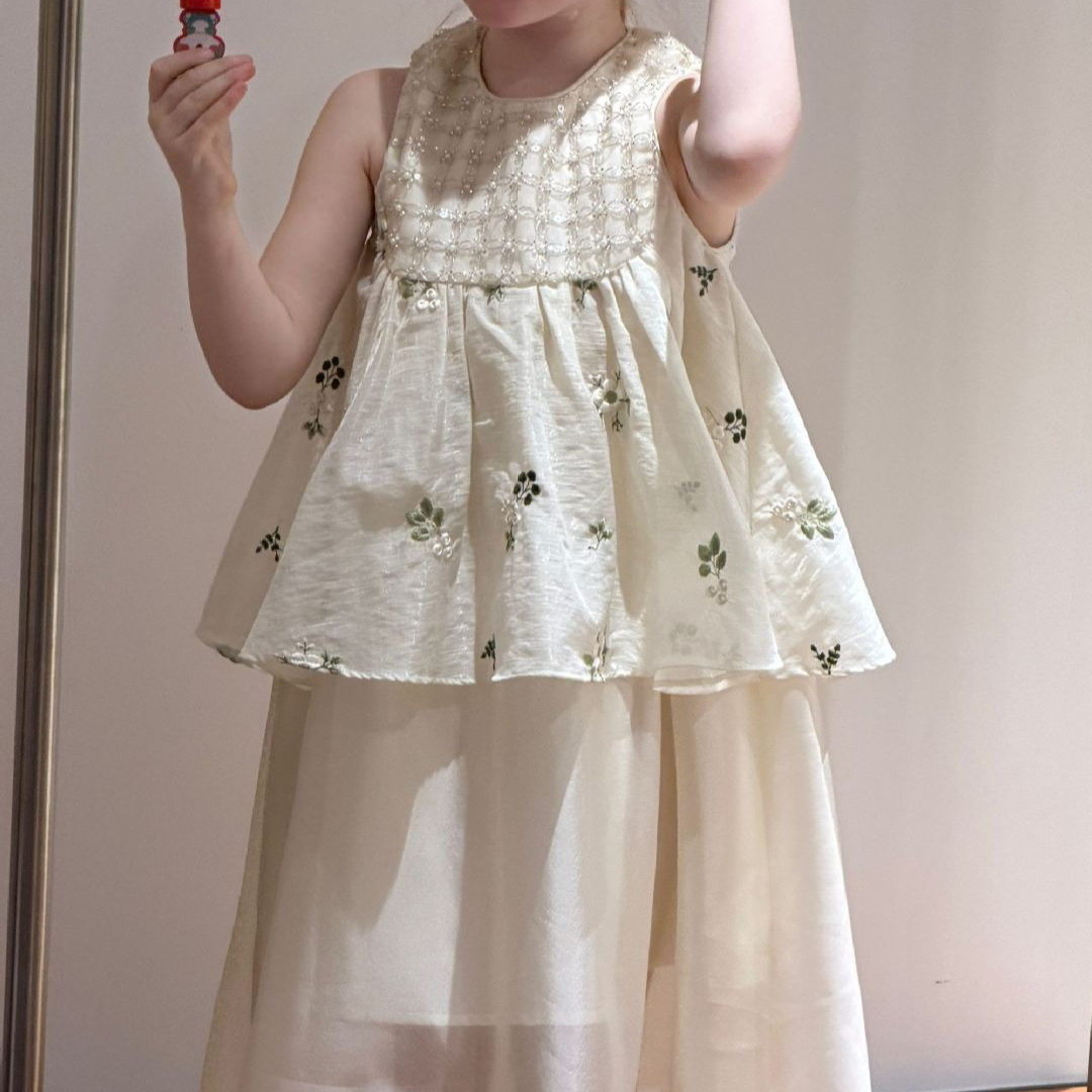 Girls Dress 2026 Spring and Su - Baby Clothing Industry 评论和价格